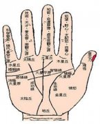 可以托付终身的男人手相