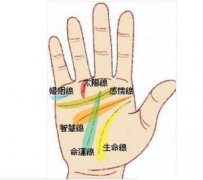 最容易出轨的手相