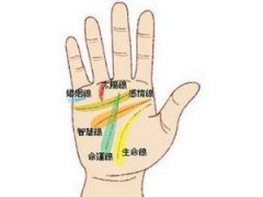 手相给婚姻把把关