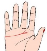 手相看你适合早婚还是晚婚