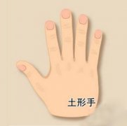 篦形手这种手相好吗