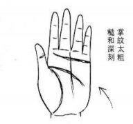 女人手相之掌纹的深浅