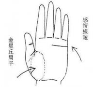 冷感女性的手相