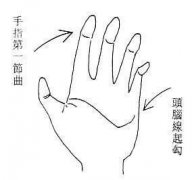 贪心的女人手相