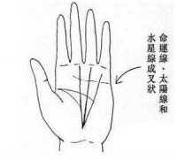 大富大贵的女人掌纹