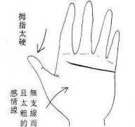 朴实型女性的手相