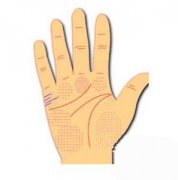 多条婚姻线手相