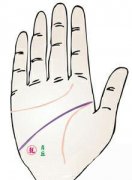 智慧线深入月丘的手相图解