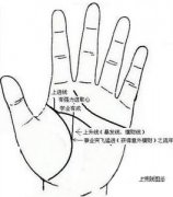 手相上进线图解