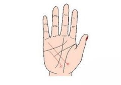 手相健康线图解