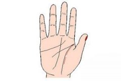 手相影响线图解