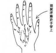 女人年纪掌中藏