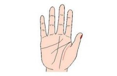 手相活力线图解