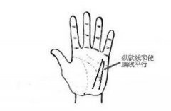 手相纵欲线图解