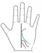 手相宠爱线图解