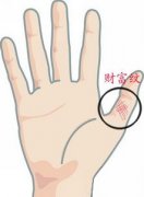 手相财富纹图解