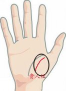 手相贵人纹图解