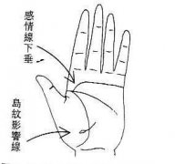 女人手相之二奶命