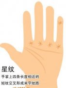手相星纹图解