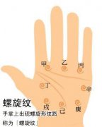 手相螺旋纹图解