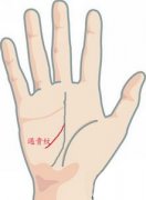 手相遇贵纹图解