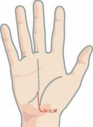 手相祖庇纹图解