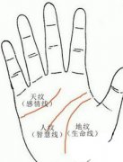 手相天纹图解