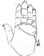 手相妻妾纹图解