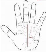 事业线明显深刻升起手相图解