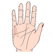 财运线弯曲手相图解