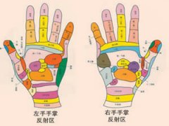 手相看一生花多少钱