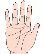 五种桃花运特别旺的手相