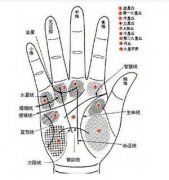 哪些手纹会令婚姻不和