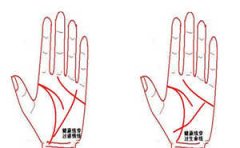 解析手相中健康线的特征