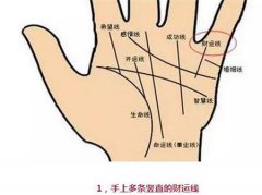 正财和偏财双丰收的手相