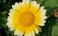 手相看你性格好坏