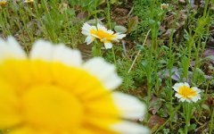 生命线的手相特征都有哪些特殊之处