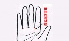 什么样的手相会漏财
