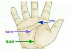 生命线短寿命就短吗