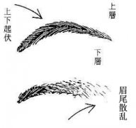 什么面相是散财相