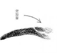 交叉眉面相图解