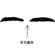 粗眉面相图解