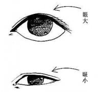 面相看你能不能当明星