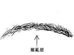 杂乱眉面相图解