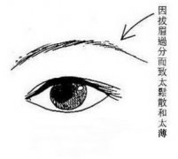 黄薄眉面相图解
