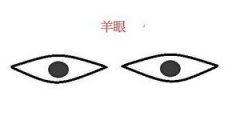 羊眼面相图解