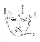 能成为富婆的女人面相