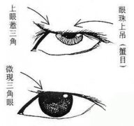 自私的女人眼睛特征