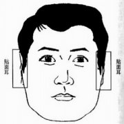 贴面耳面相详解