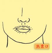 熟粟口面相详解